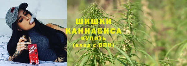 хмурый Инсар