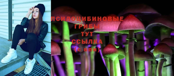 меф Инта