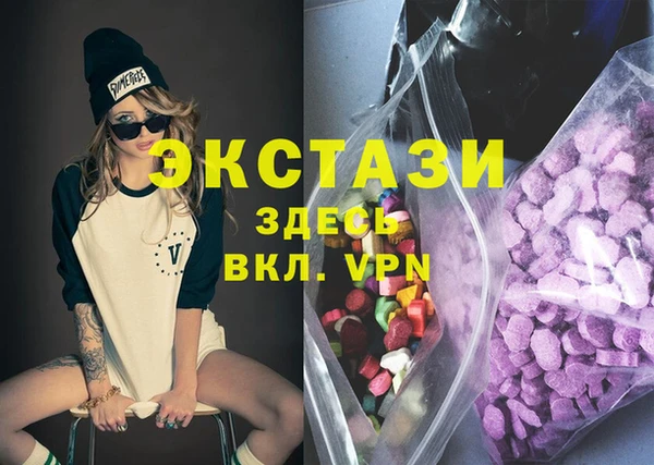 хмурый Инсар