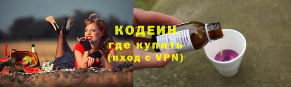 меф Инта