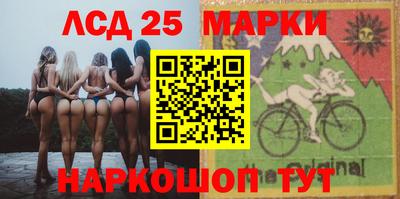 стаф Шелехов