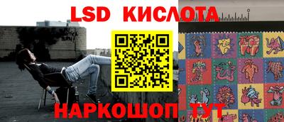 стаф Шелехов
