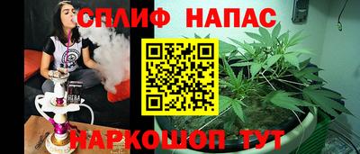 стаф Шелехов