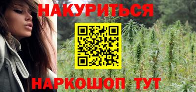 стаф Шелехов