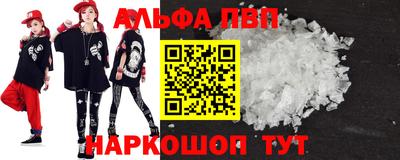 стаф Шелехов