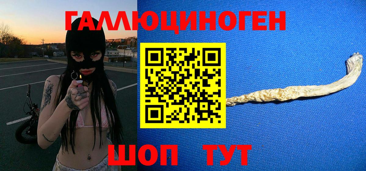 Саяногорск  Псилоцибиновые грибы мицелий  Вход с VPN  Галлюциногенные грибы GOLDEN TEACHER 