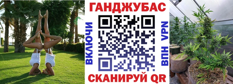 Марихуана план  Саяногорск 